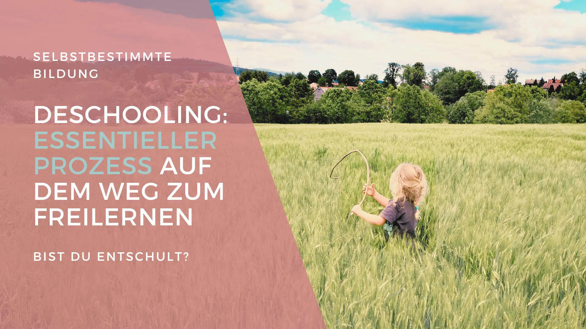 Deschooling - Prozess zum Freilernen - selbstbestimmte Bildung