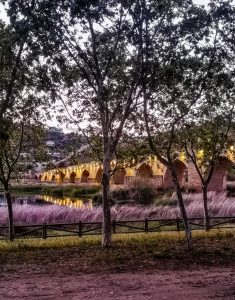 Spanien Roadtrip - Medellin