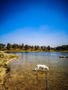 Roadtrip Spanien - Proserpina