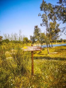 Roadtrip Spanien - Proserpina
