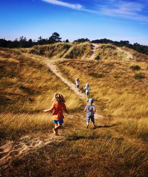 Natur - Auswandern und Freilernen in Dänemark